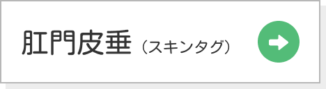 肛門皮垂（スキンタグ）
