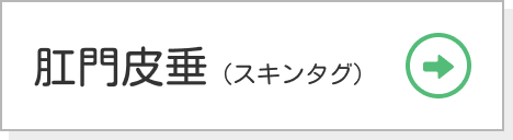 肛門皮垂（スキンタグ）